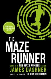 Maze runner cover